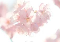 12星座女，哪个年龄段桃花运最旺