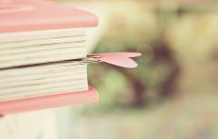 套路得人心，最善于利用人脉的星座