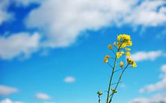 相亲遭拒，还会继续追求你的星座男