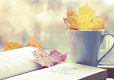 哪些星座最有头脑，致富最轻松