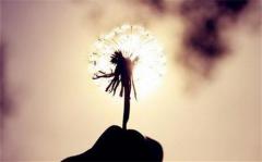 看见别人比自己强，一定奋起直追的星座