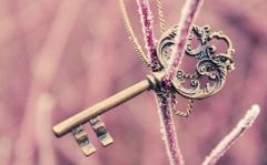 务实，喜欢自己动手做事的星座