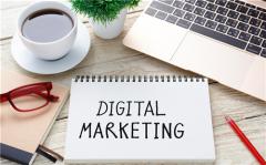 职场危机，能独善其身的星座