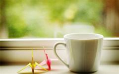 做事情总是特别细心的星座