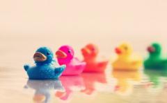 12星座中，偏于感性的星座有哪些？