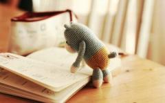 社交中不带脑子，经常乱开腔的星座