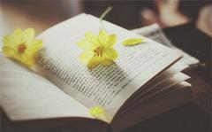 见面留微信，交友滥竽充数的星座