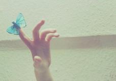 洁身自好，不占人经济便宜的星座