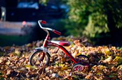 没有主见，事事都需要别人引导自己的星座