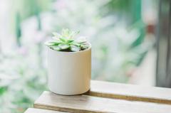 未来一个月，事业运会蒸蒸日上的星座