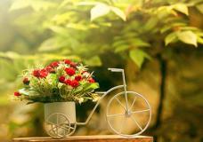 12星座男生最喜欢的恋爱模式排行榜