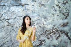 千万不能硬碰硬的几个星座，你上榜了吗？