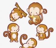 属猴人的性格分析