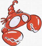 属猪的天蝎座和什么生肖星座最配？