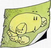 属马的天蝎座和什么生肖星座最配？