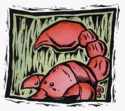 属蛇的天蝎座和什么生肖星座最配？