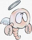 属龙的天蝎座和什么生肖星座最配？