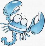 属兔的天蝎座和什么生肖星座最配？