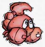 属虎的天蝎座和什么生肖星座最配？