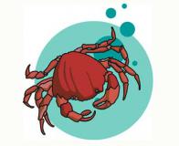 巨蟹座的幸运数字