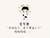 金牛座后面是什么座：双子座