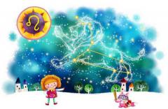 荣膺桂冠的12星座运动员