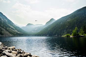 水象星座的爱情观