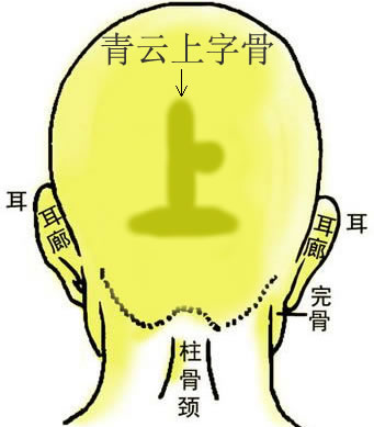 骨相大全——青云上字骨