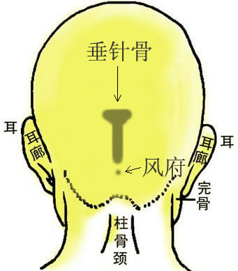 骨相大全——垂针骨