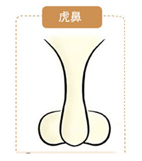 虎鼻面相简析