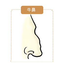 牛鼻面相图解