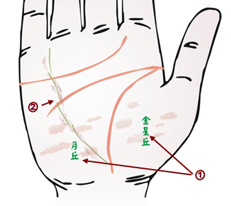 手相与疾病之间的关系