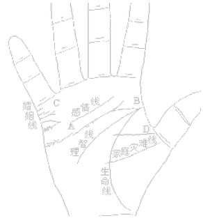 看手相——感情、婚姻、家庭