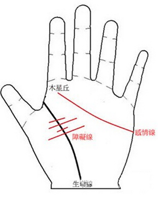 你的生命线有障碍线，感情线伸展到木星丘