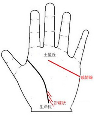 感情线止于土星丘，生命线有流苏状支线