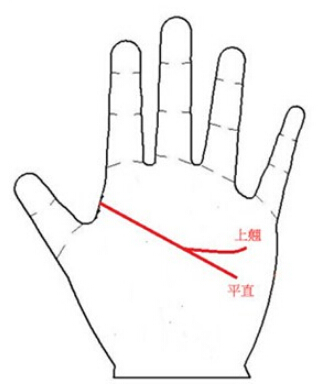 智慧线平直或上翘