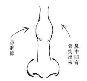 4、鼻起节