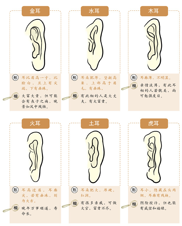 面相速查之相耳