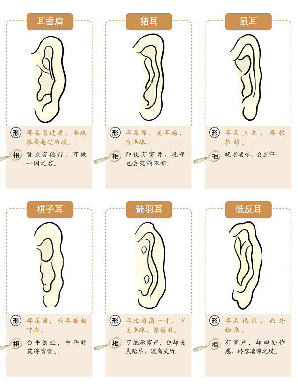 面相速查之相耳