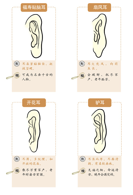 面相速查之相耳