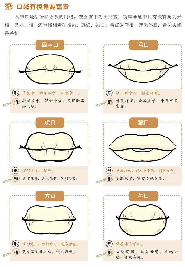 面相速查之相口