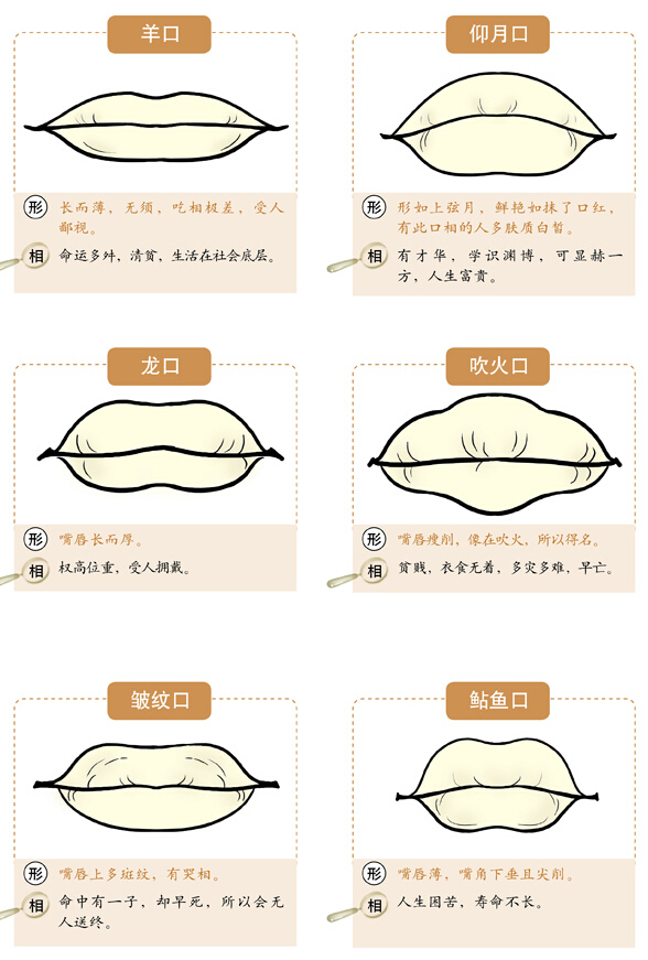 面相速查之相口