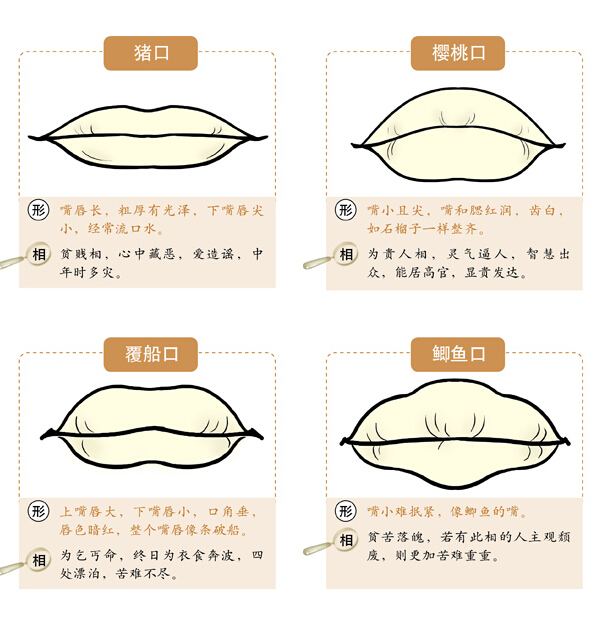 面相速查之相口