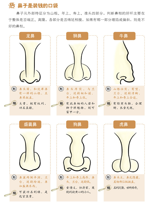 面相速查之相鼻