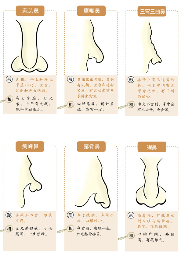 面相速查之相鼻