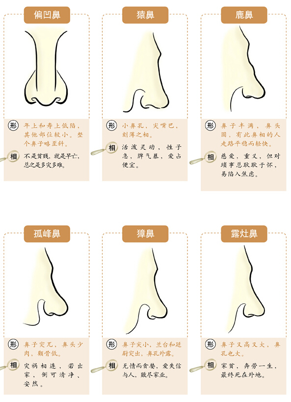 面相速查之相鼻