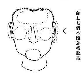 不随意机能区