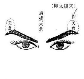 女生男眉