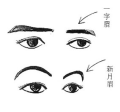 一字眉的女性