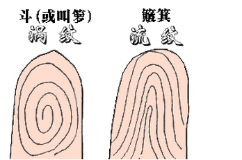 三十九：手上的斗准确看婚姻